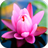 Flowers Puzzle And Wallpaper 1.0