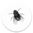 FLY HUNTER icon