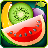 Fruit Rush icon