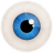 The Focus Game icon