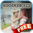 Hidden Object - Hearts and Armours Free icon