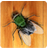 Kill The Fly APK Download