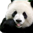 PandaSwag icon