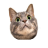 Spinning Cat Face icon