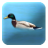 ShootTheDuck icon