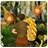 TempleJungleBoyRunGame icon