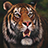 TigerPuzzle icon