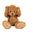 Torrenting Teddy icon