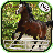 Arabian Horse Jumping icon