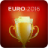 Euro 2016 icon