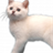 Flappy Cat by Buddylist icon
