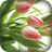 GullysGarden icon