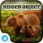 Hidden Object - Nature Moms Free icon