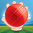Hand Cricket APK Download