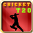 T20 Cricket icon