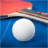 Ping Pong Pro Tennis Table icon