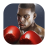 Punch in Punch Out version 1.1