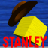 Stanley icon