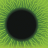 The Eye icon