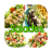 Salades 2016 icon