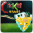 Play Cricket WorldCup icon