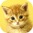 Baby Animals Game icon