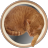 Cat’s Curling icon