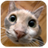 Cats Puzzle icon