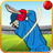 Cricket Fever 2016 version 1.2