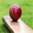 Cricket Geek Quiz version 0.5