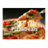 PizzaDeals icon