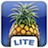 Fruity Glance Lite icon