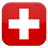 Geo Swiss  icon