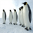 ICE ICE PENGUINS icon