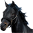 Horse Race icon