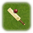 Cricket Scorer version 2.3