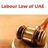 Labour Law of UAE APK Download