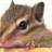 Mouse Puzzle icon