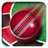 Roulette Cricket APK Download
