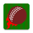 Smash and Slog Cricket icon