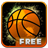 Streetball Free icon