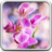 Descargar Orchid Live Wallpaper