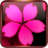 Sakura Falling Pro Live Wallpaper version 1.41