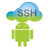 SSH Server version 3.1
