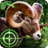 Wild Hunter APK Download