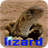 Lizard down hole icon