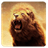 Lion Roar icon