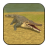 Wild Crocodile Simulator version 1.2