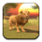 Wild Lion Simulator version 1.3