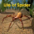 Life Of Spider version 1.1